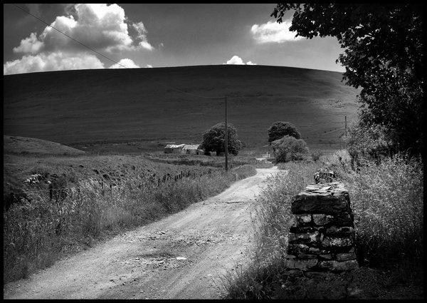 Farm Track