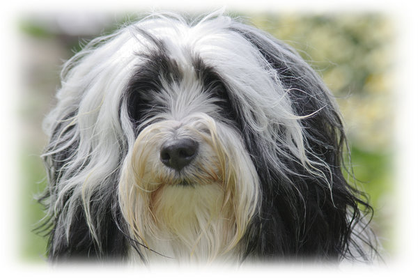 Portrait of Daisy