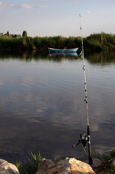 Rod'n Boat