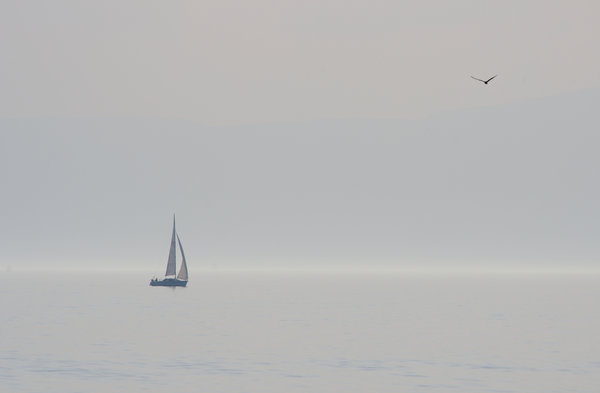 solitude ..