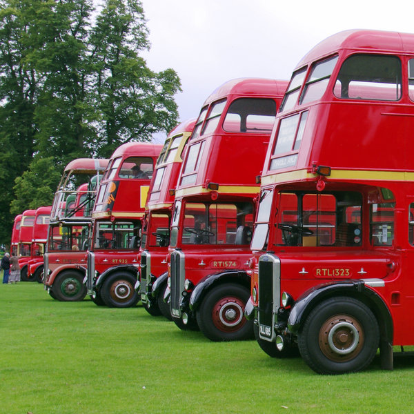 The Wheels on the Bus ...