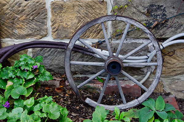 Wagon wheel