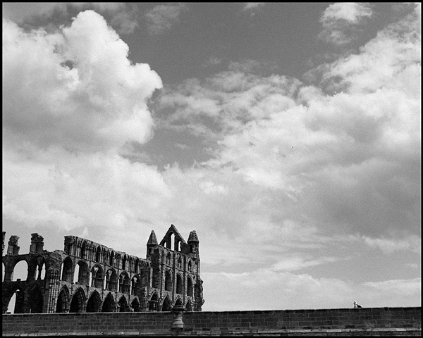 Whitby Abbey, Yorkshire