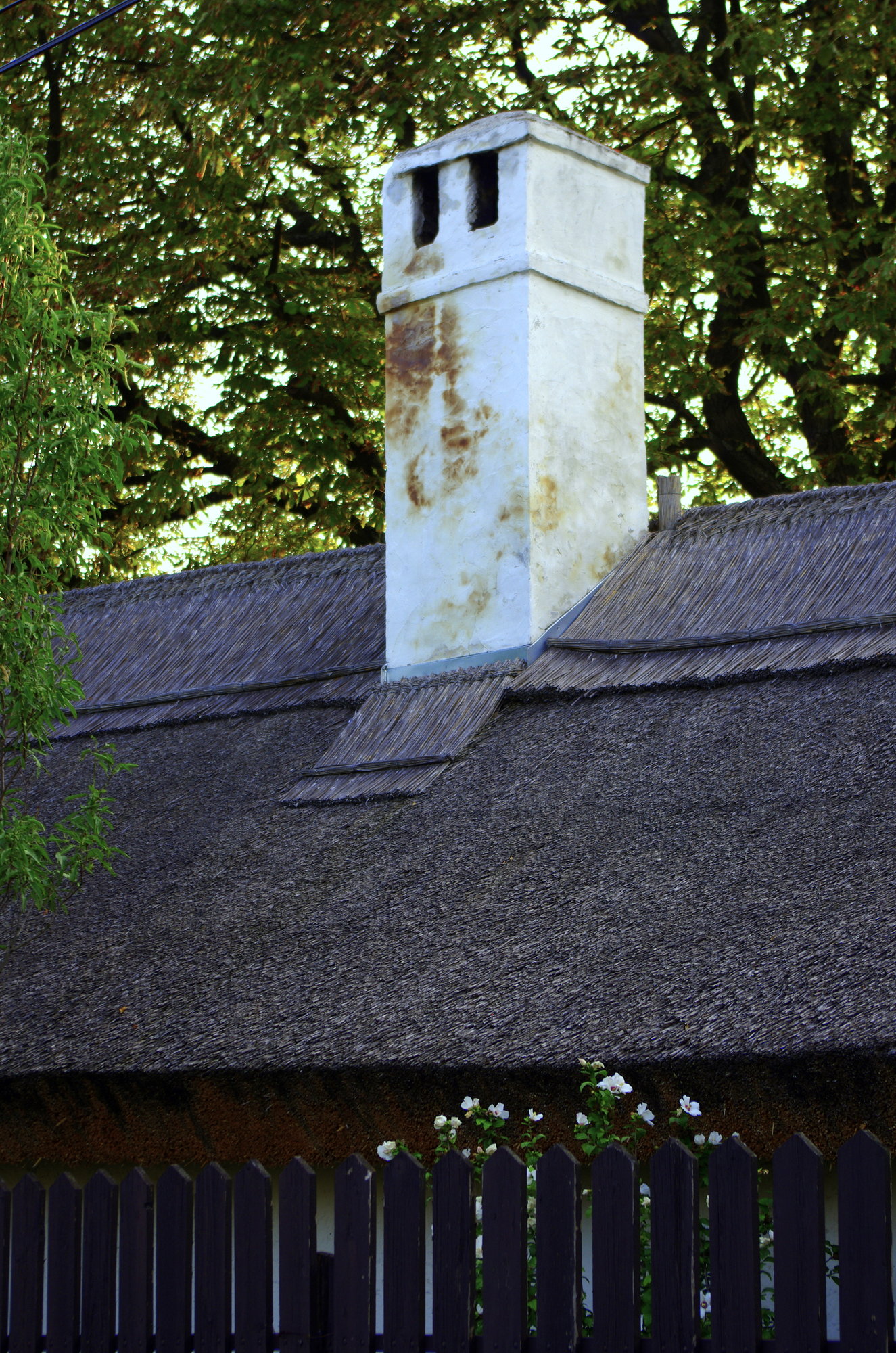 Chimney Top and Hollyhocks