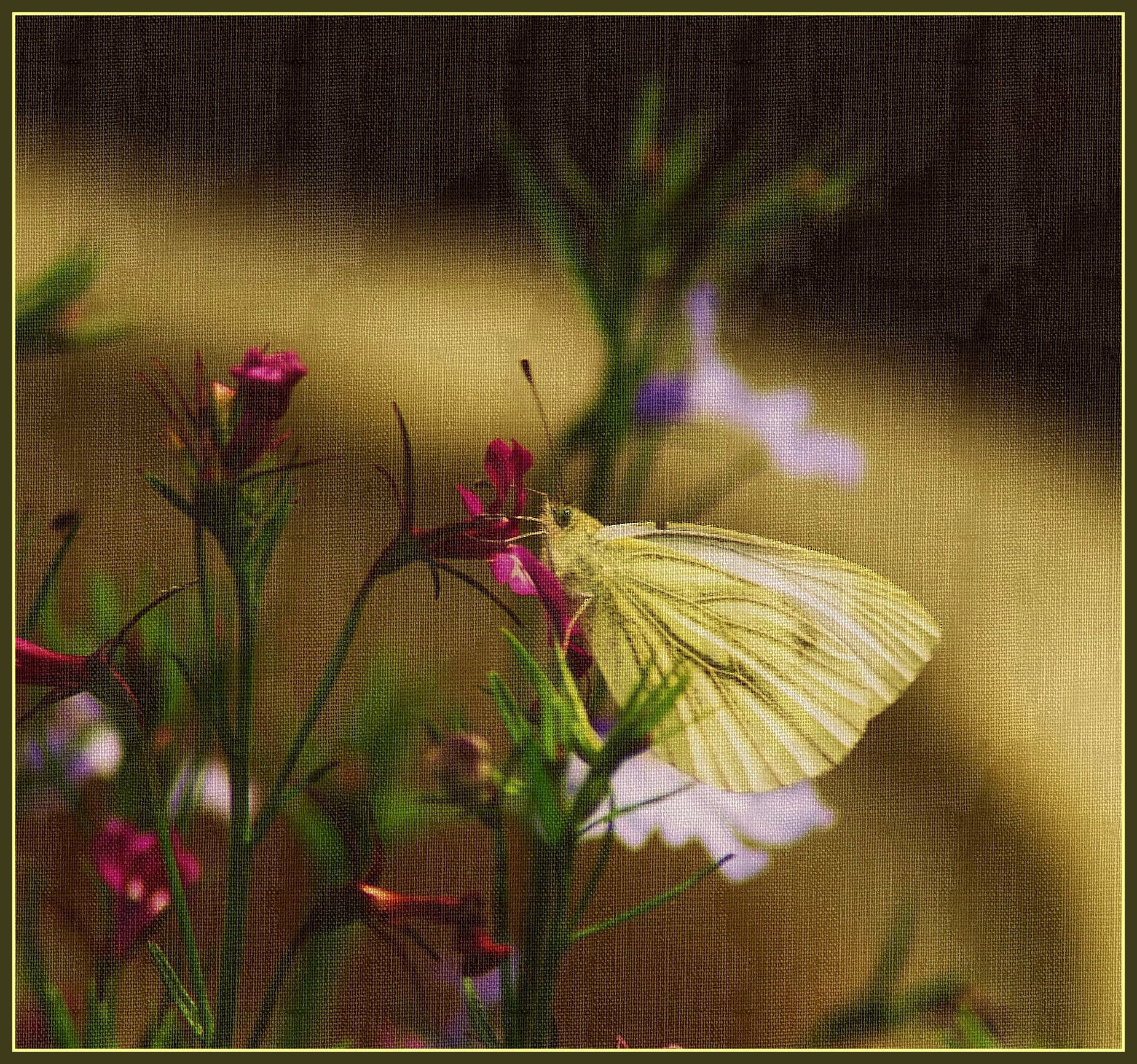 Flutterbye