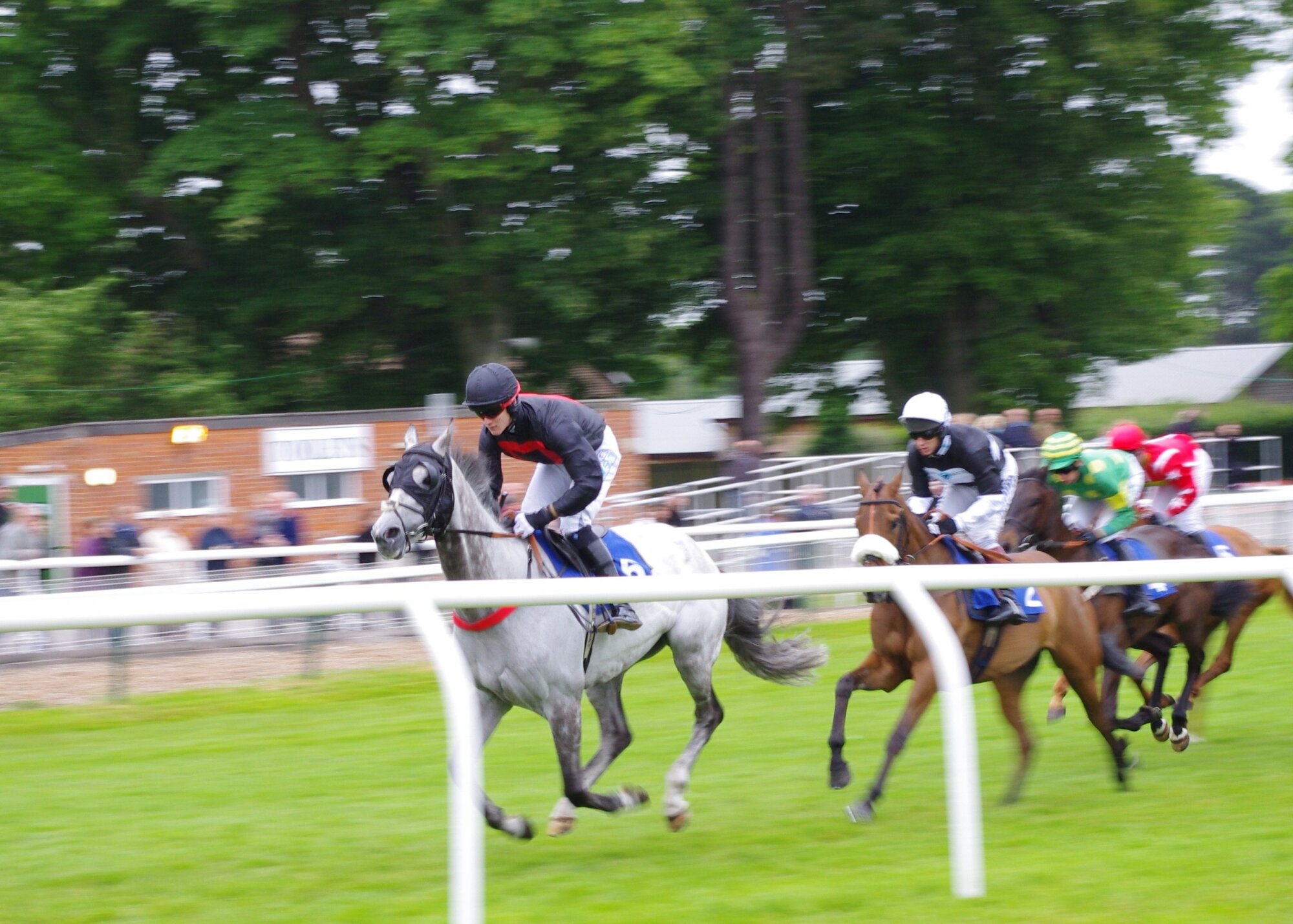 For the Finish