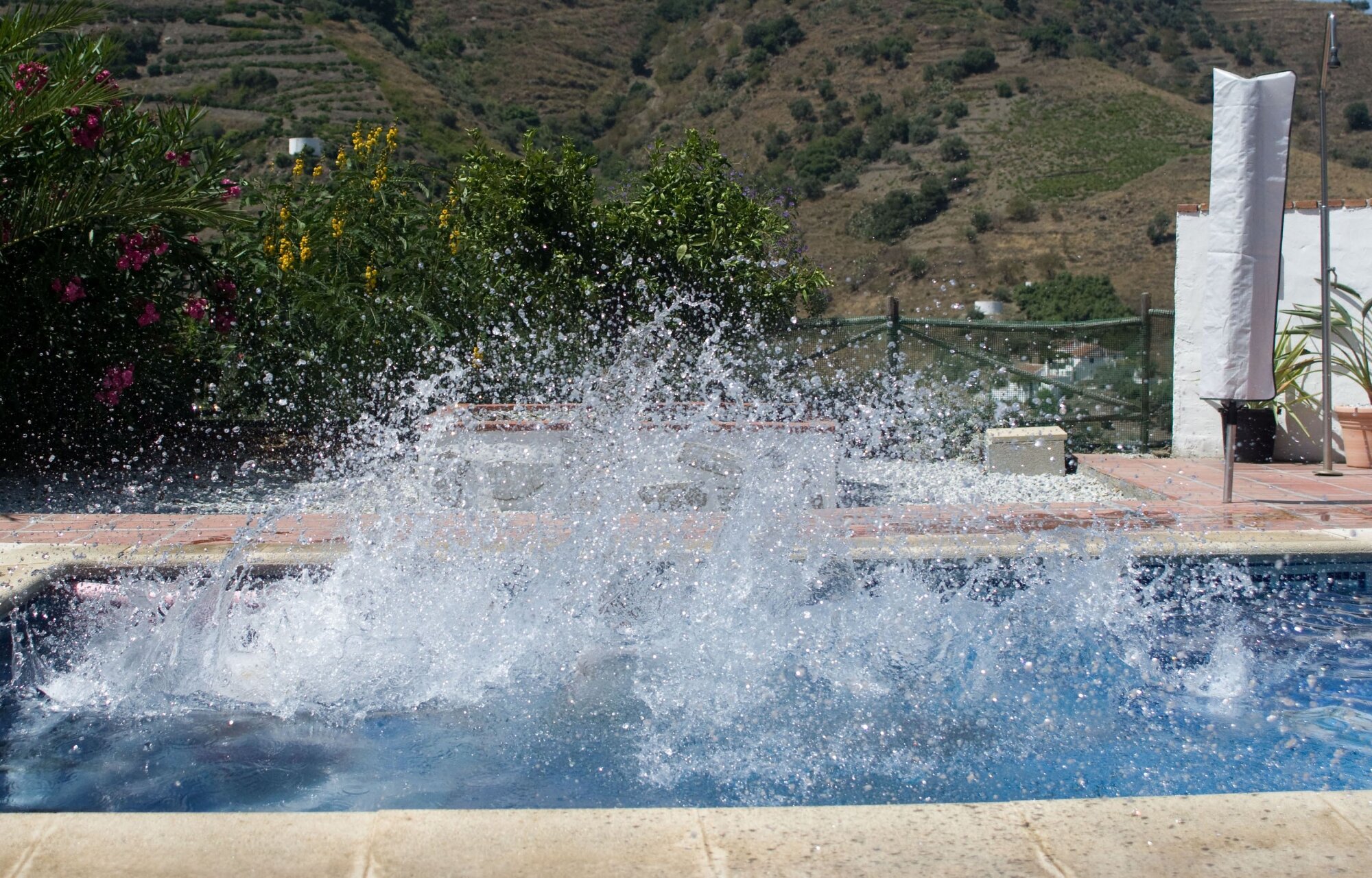 Splash!
