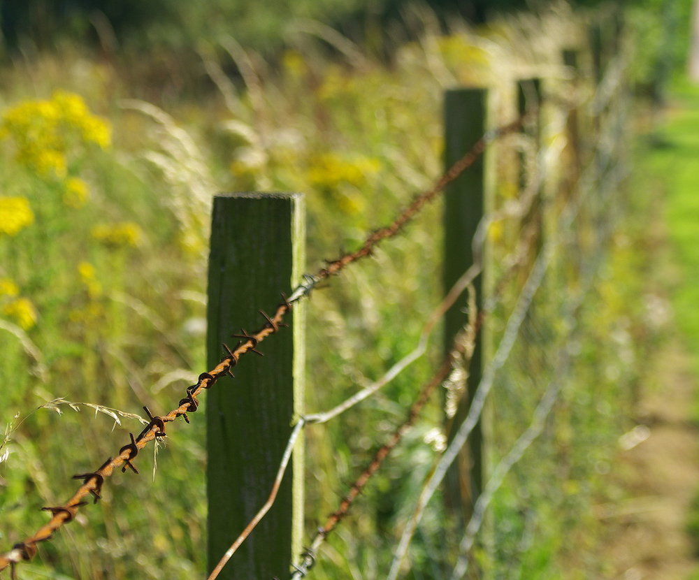 a fence
