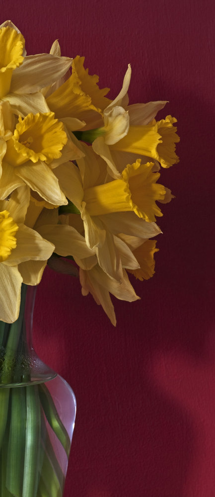 Daffs