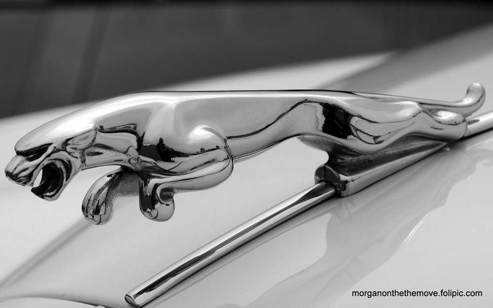 Jag
