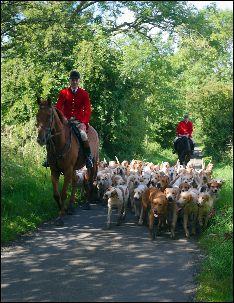 Mendip Huntsmen