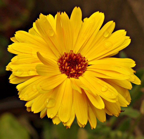 Bright and cheerful.