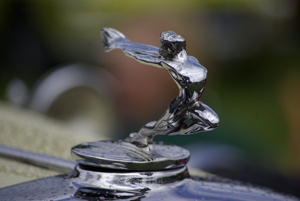 Hood Ornament