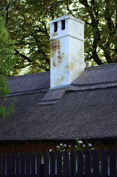 Chimney Top and Hollyhocks
