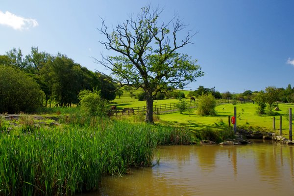 Derbyshire Countryside