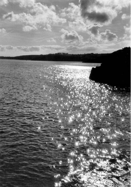 Headland