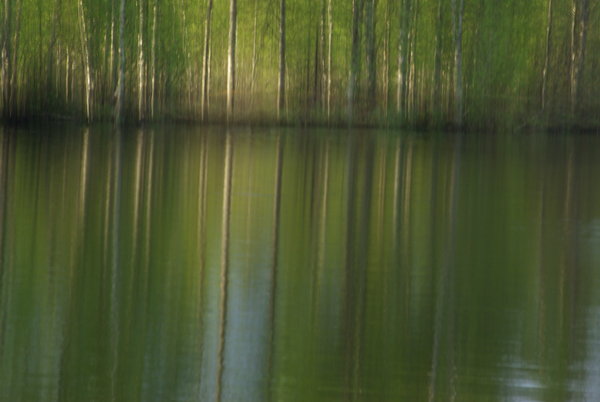 Reflection