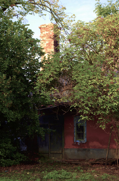 Secluded Old House
