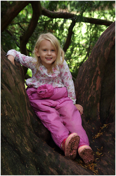 Sophie in a Tree