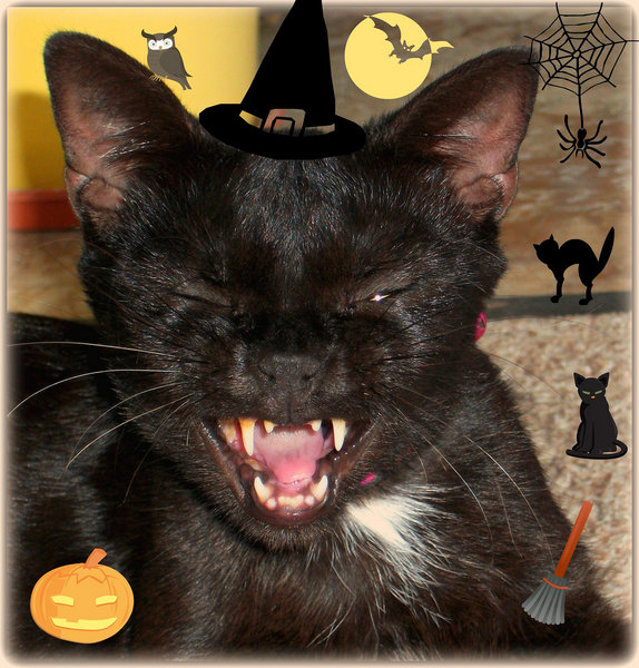 Which witch am I?