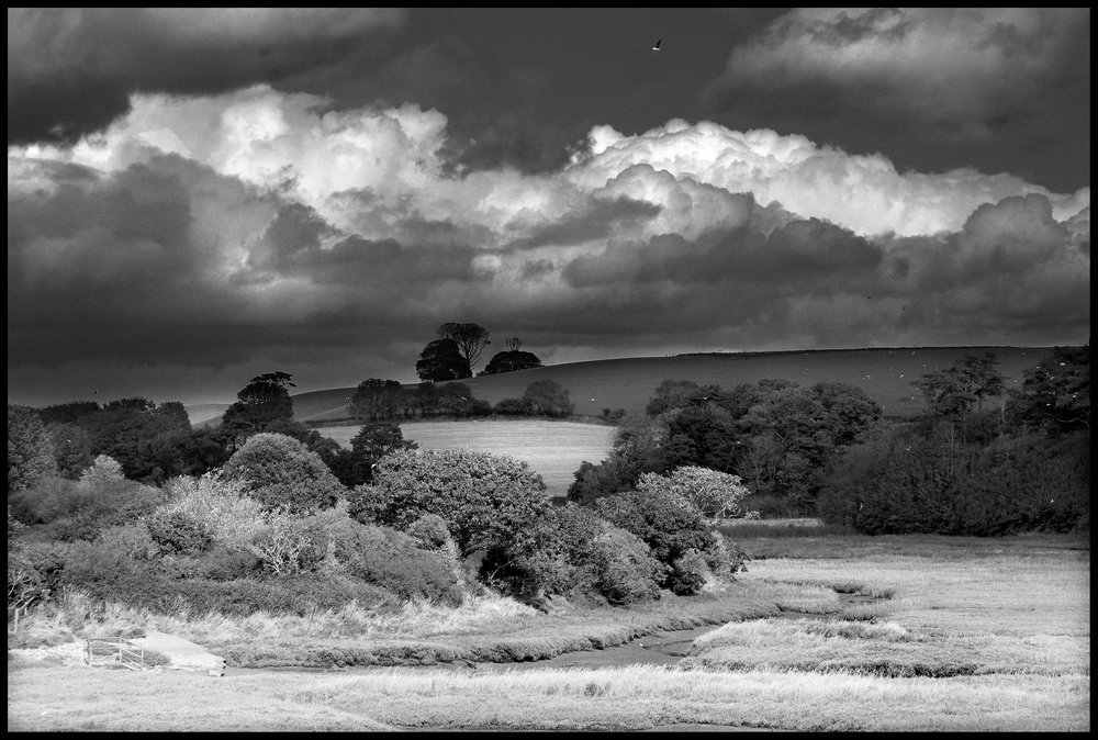 Mouth of the River Otter, South Devon