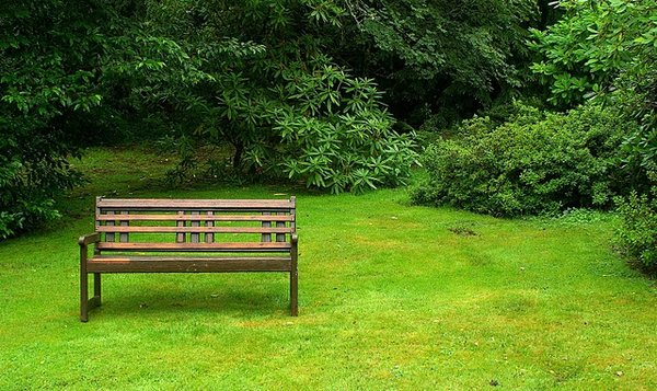 a lonely bench