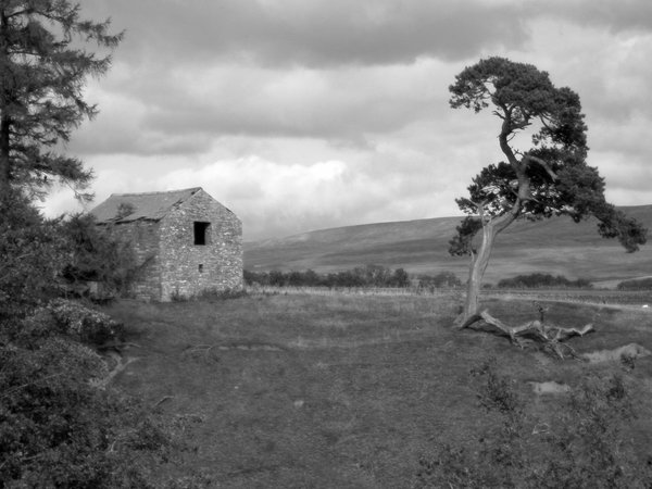 Barn