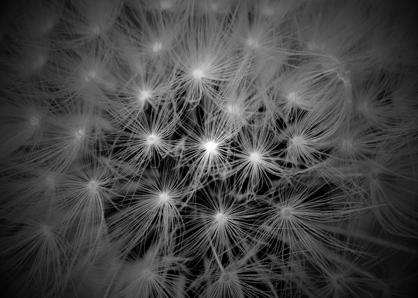 Fibre-Optic?