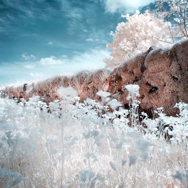 IR churchyard