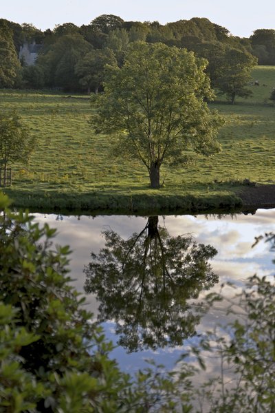 Reflections _ 2