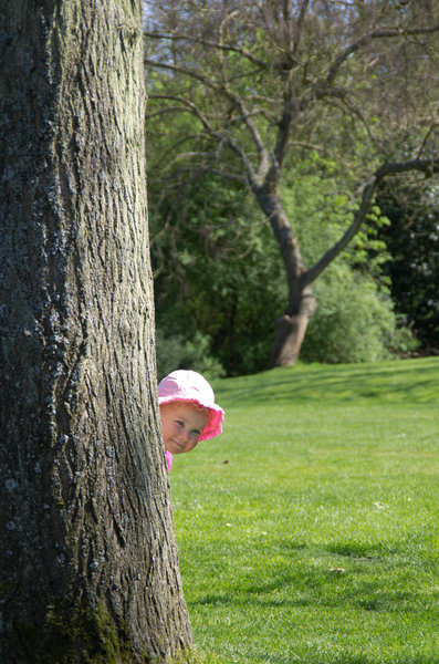 Tree peeping