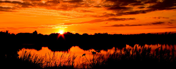 Warm Glow