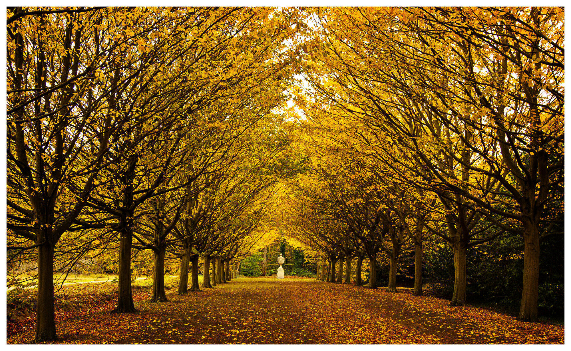 Autumn colours