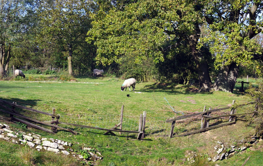 Aidensfield ( Goatland ) North Yorkshire UK