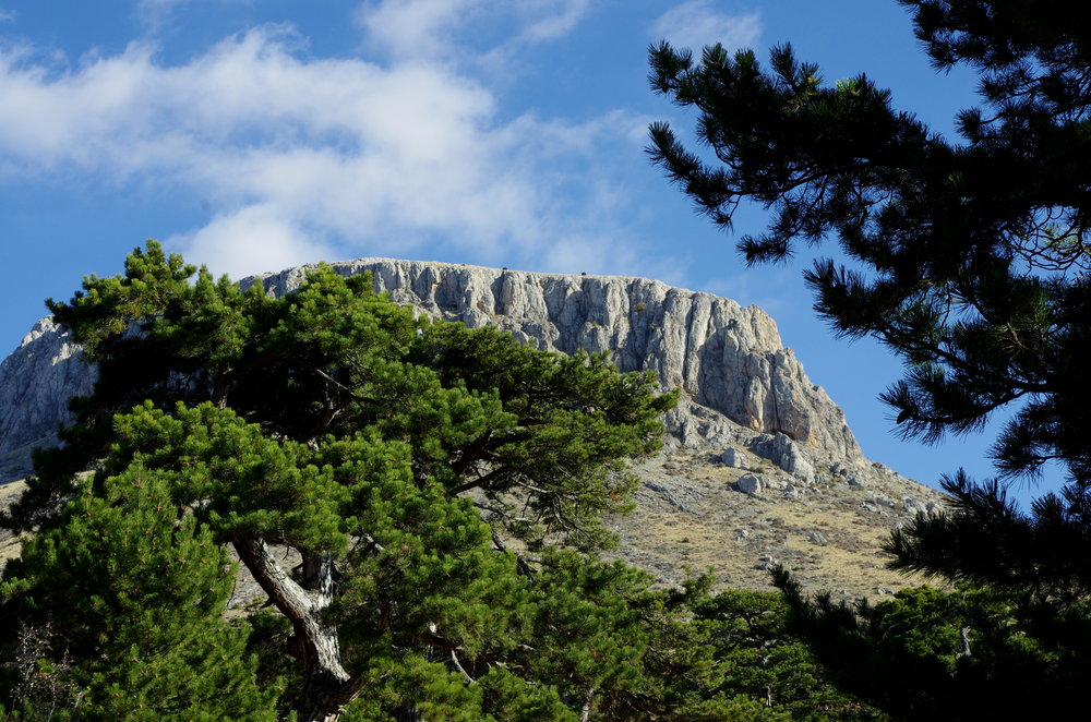 Mountain Peak