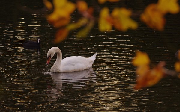 autumn'2011