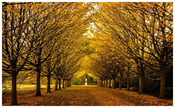 Autumn colours