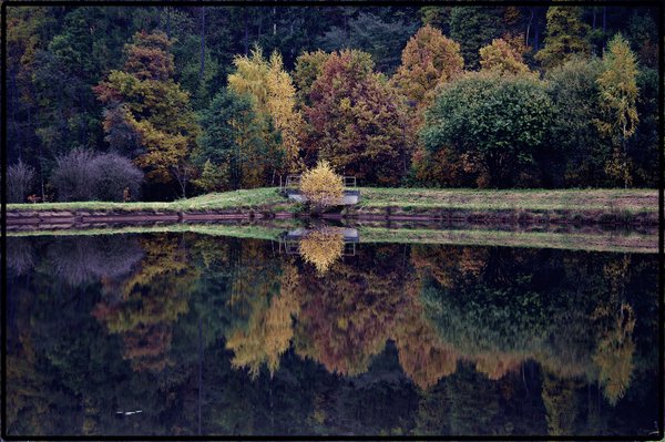 Autumn Pond
