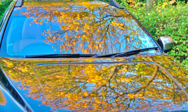 Autumn Reflections