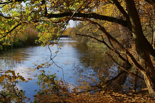 autumn'2011 (one year later)