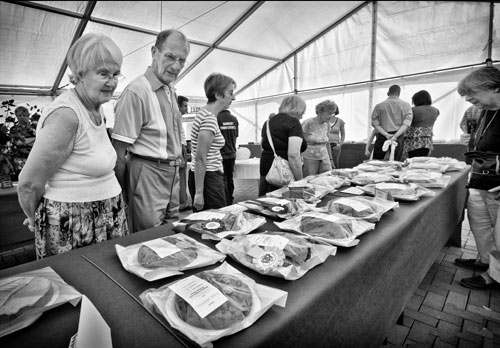 Cake Competition