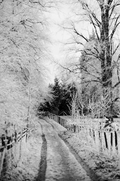 Cold avenue
