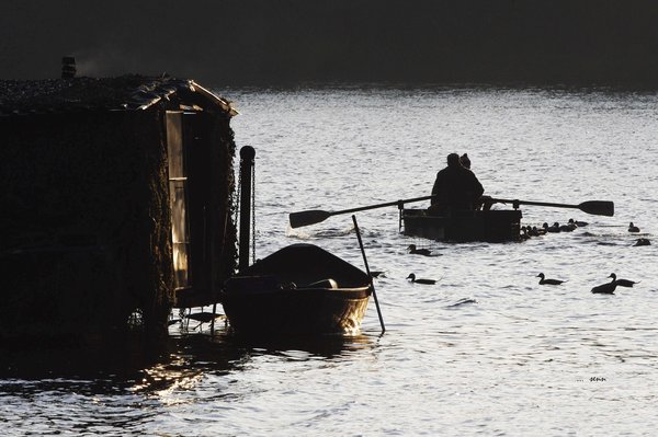 ducks hunting ahead