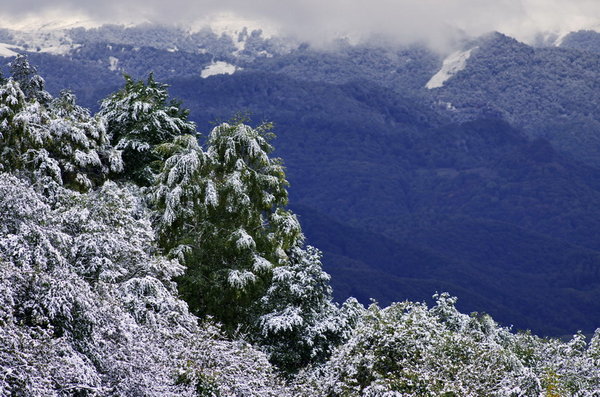 First snow
