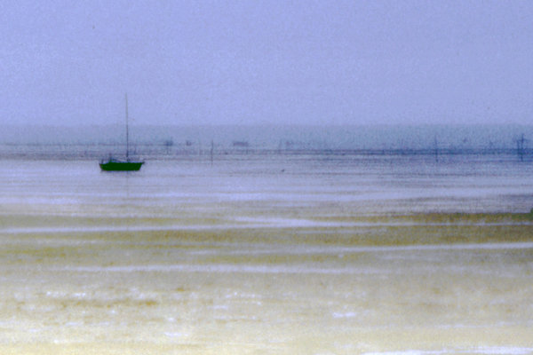 Misty morning, Baie d'Arcachon