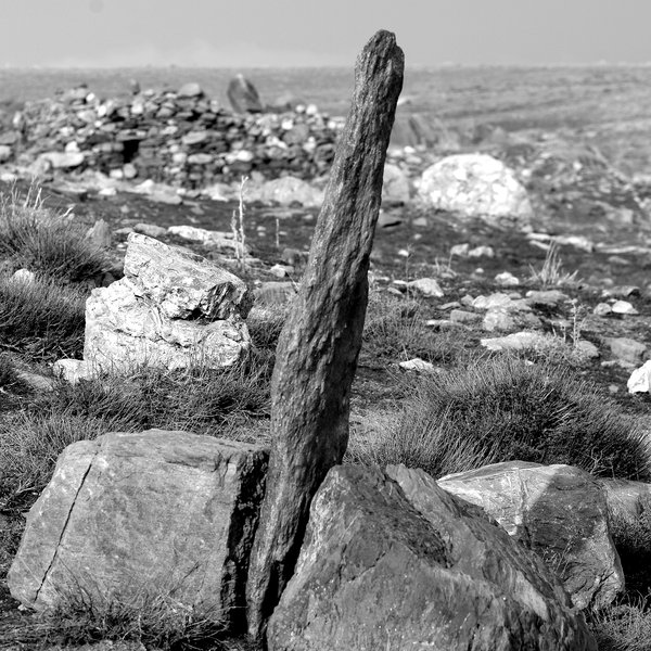 Monolith in Mono