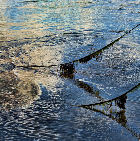 Mooring Lines