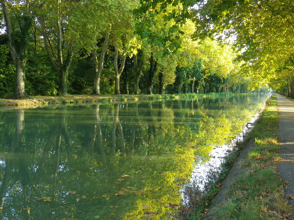 Reflection