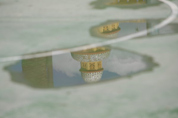 Reflections