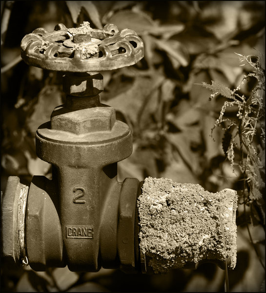 Rustic Valve